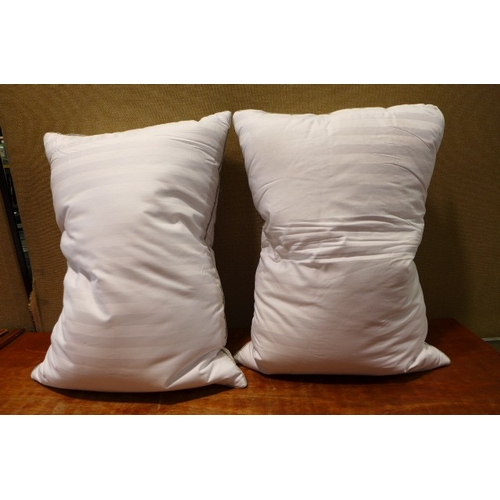 6205 - Two Hotel Grand feather/down pillows (359-251) *This lot is subject to VAT