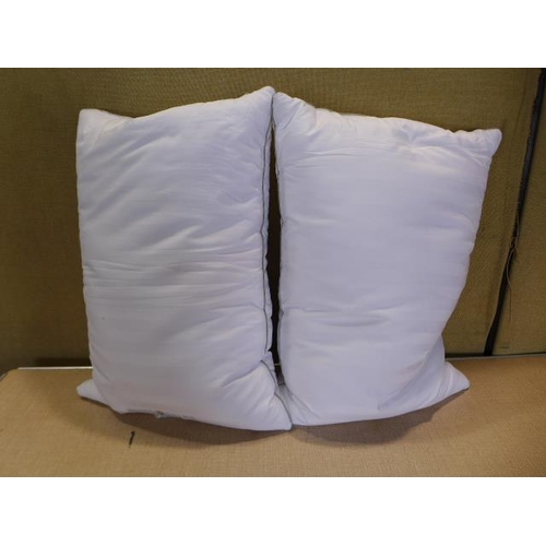 6294 - Two Hotel Grand pillows (359A-158) *This lot is subject to VAT