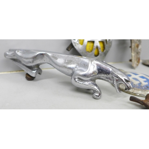 2014 - A Jaguar car mascot, two AA and RAC badges and a toy gun