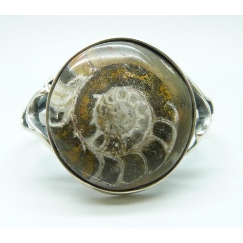 Lot 7025      