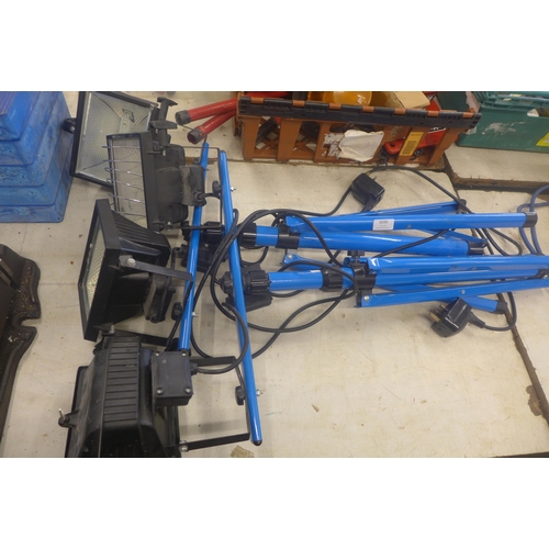 Lot 5039      