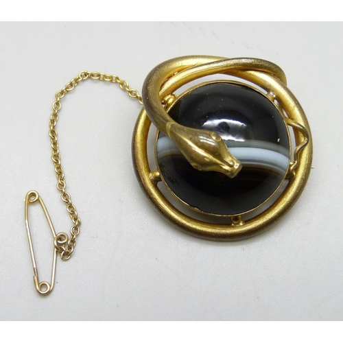 7179 - A Victorian gilt metal brooch in the form of a snake set with banded agate, 2.9cm