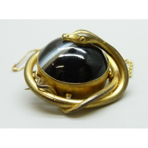 7179 - A Victorian gilt metal brooch in the form of a snake set with banded agate, 2.9cm