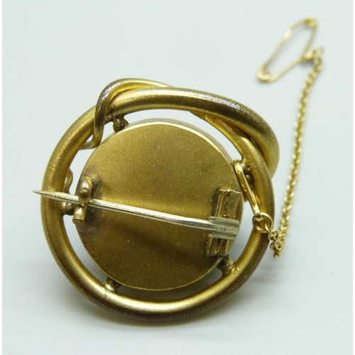 7179 - A Victorian gilt metal brooch in the form of a snake set with banded agate, 2.9cm