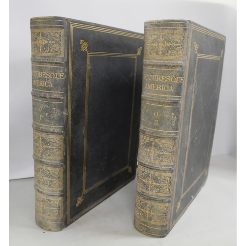 2119 - Two volumes of Picturesque America or The Land We Live In published by New York D. Appleton & Co Pub... 