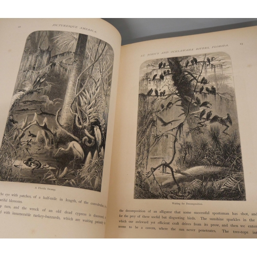 2119 - Two volumes of Picturesque America or The Land We Live In published by New York D. Appleton & Co Pub... 