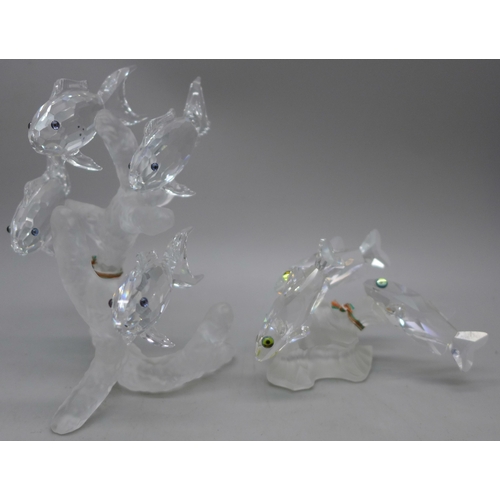 Lot 2003      