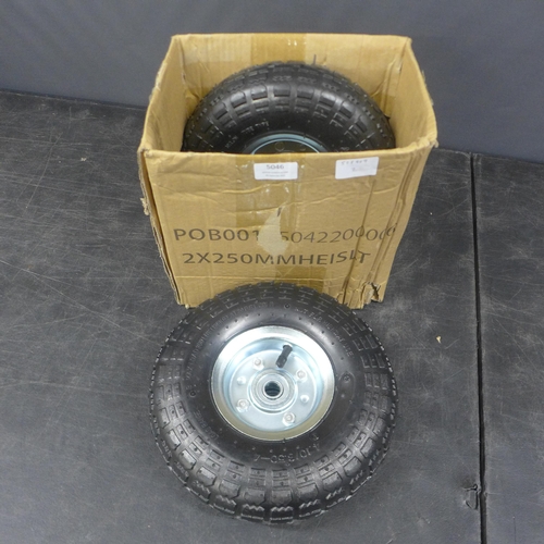 Lot 5046      