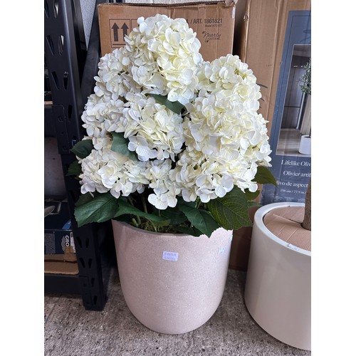 Lot 6005A     
