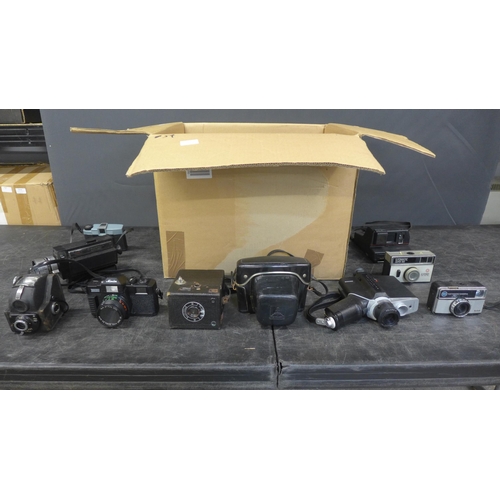 Lot 5046      