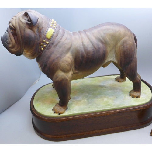 2064 - A Royal Worcester limited edition figure, The Bulldog, by Doris Lindner, with certificate, number 40... 