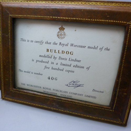 2064 - A Royal Worcester limited edition figure, The Bulldog, by Doris Lindner, with certificate, number 40... 