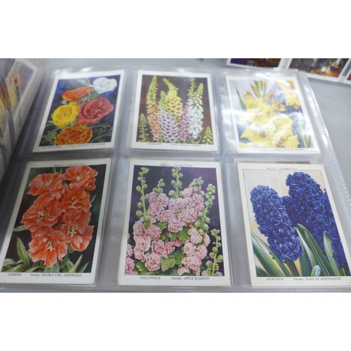2288 - A collection of cigarette cards to include Will's Cigarettes Royalty, Will's Cigarettes Musical Cele... 