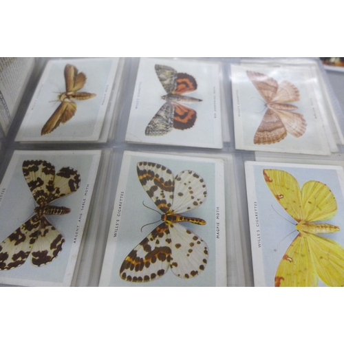 2288 - A collection of cigarette cards to include Will's Cigarettes Royalty, Will's Cigarettes Musical Cele... 