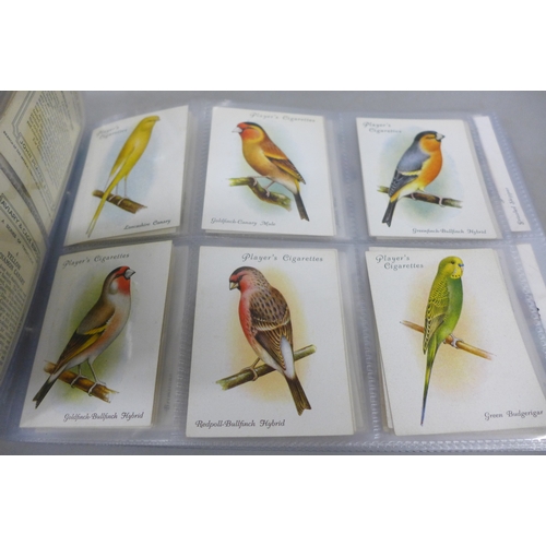2288 - A collection of cigarette cards to include Will's Cigarettes Royalty, Will's Cigarettes Musical Cele... 