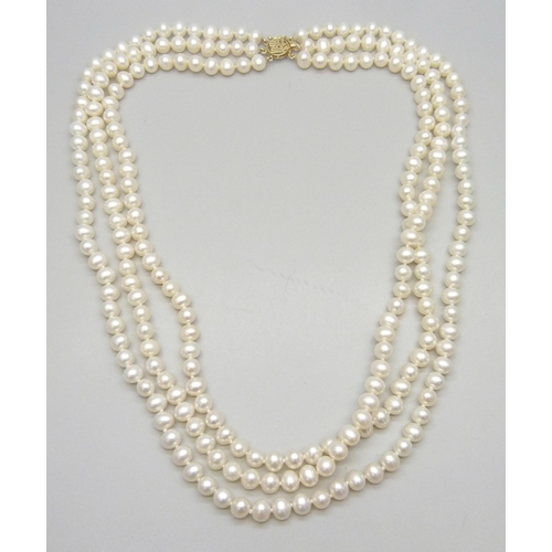 Lot 7065      