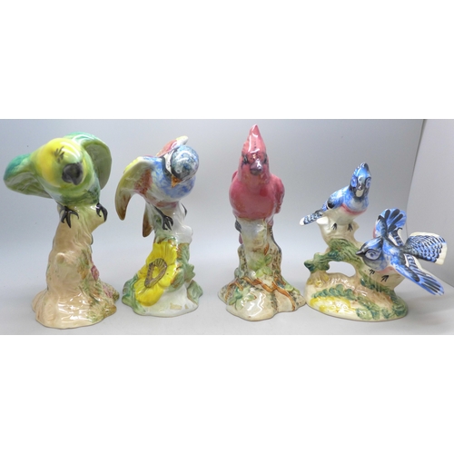 2083 - Four Beswick pottery model birds, 925 Blue Jays, 927 Red Cardinal, 929 Chickadee and 930 Parakeet