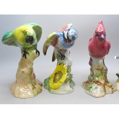 2083 - Four Beswick pottery model birds, 925 Blue Jays, 927 Red Cardinal, 929 Chickadee and 930 Parakeet