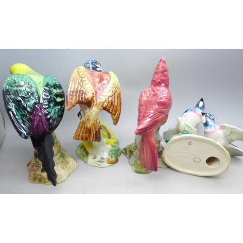 2083 - Four Beswick pottery model birds, 925 Blue Jays, 927 Red Cardinal, 929 Chickadee and 930 Parakeet