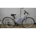 An Apollo Excelle lady's mountain bike