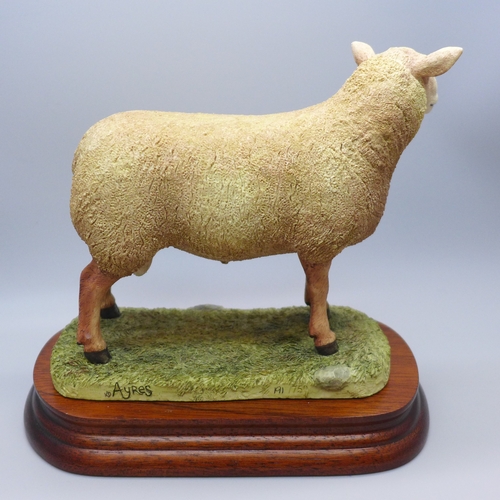 2033 - A Border Fine Arts model, Charollais Ram, limited edition, 191/750, in box with certificate