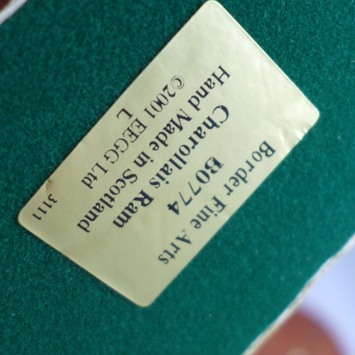 2033 - A Border Fine Arts model, Charollais Ram, limited edition, 191/750, in box with certificate