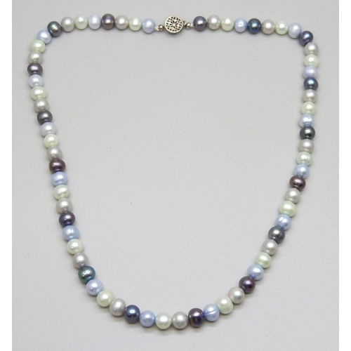 7063 - A multi-coloured pearl necklace with a white metal clasp, tests as silver, 32g, 46cm