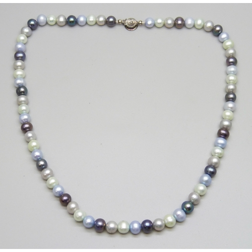 7063 - A multi-coloured pearl necklace with a white metal clasp, tests as silver, 32g, 46cm