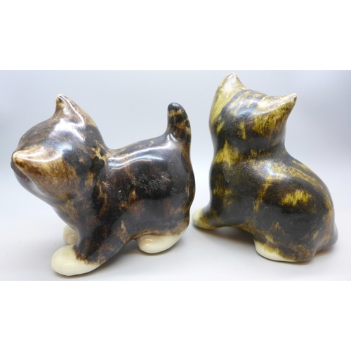 2023 - Two Winstanley model kittens, tallest 11.5cm