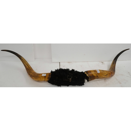 Lot 2240A     