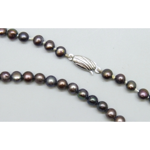 7061 - A black pearl necklace with a silver clasp, 15g, 42.5cm