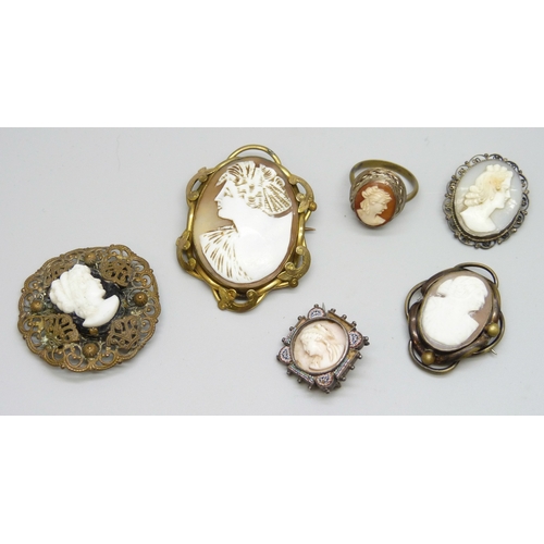 7084 - A collection of cameo brooches including micro-mosaic, and a cameo ring