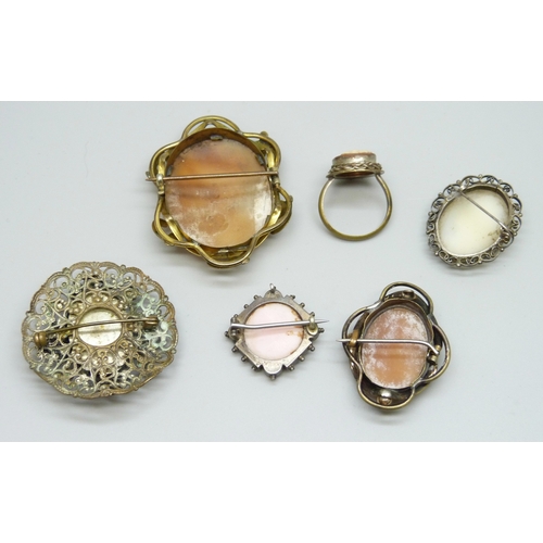 7084 - A collection of cameo brooches including micro-mosaic, and a cameo ring