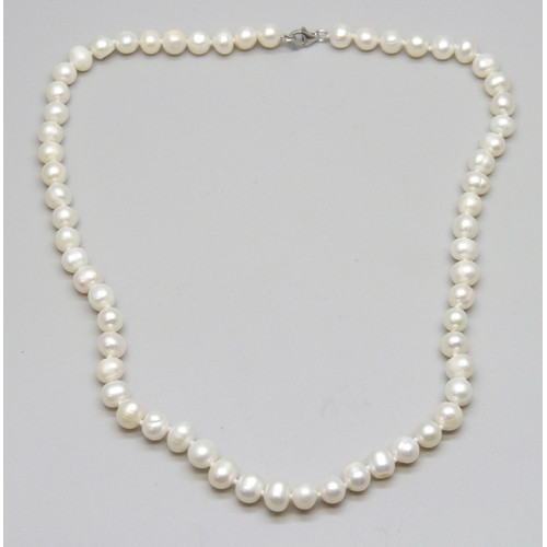 7112 - A white pearl necklace with a silver clasp, 22g, 41cm