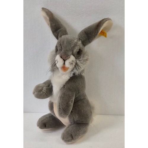 Lot 8027      