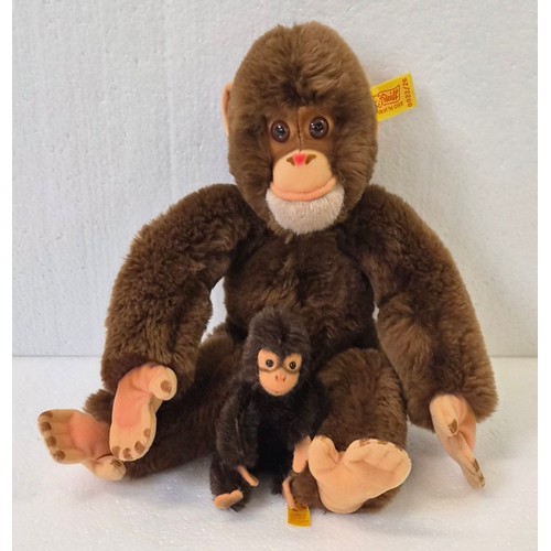 Lot 8032      