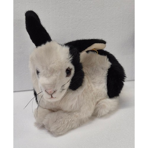 Lot 8041      