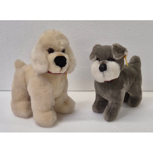 Lot 8050      