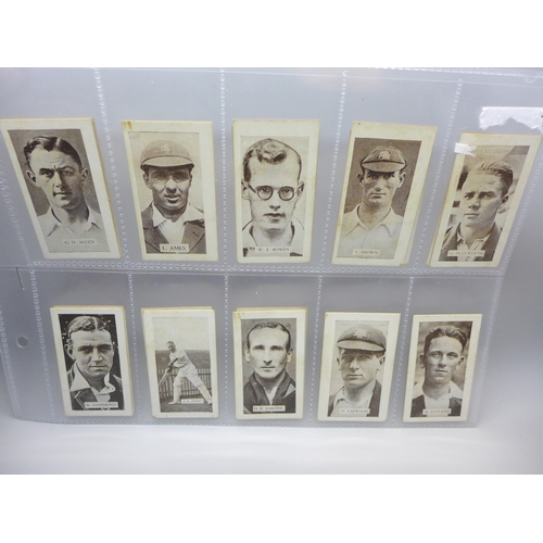 Lot 2029      