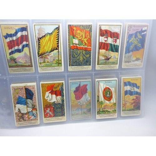 Lot 2047      