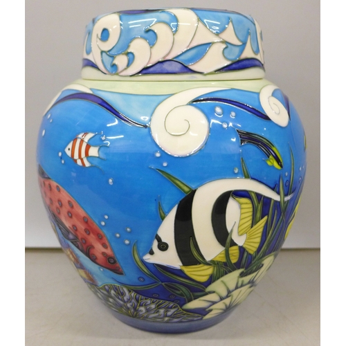 Lot 2053      
