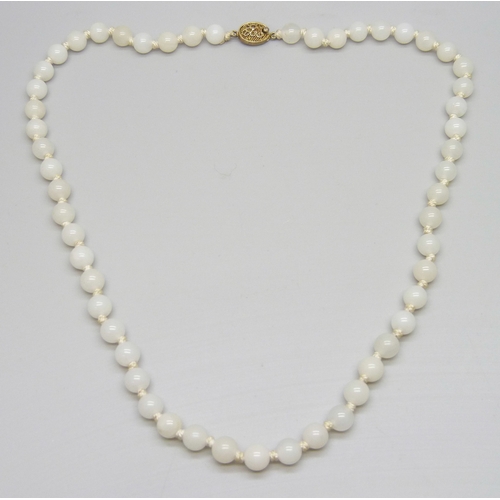 Lot 7047      