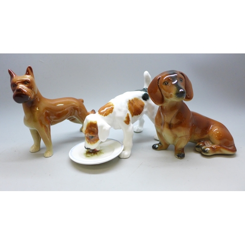 Lot 2045      