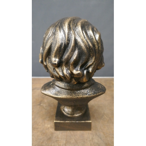 5035 - A cast metal bust of Albert Einstein  *This lot is subject to VAT