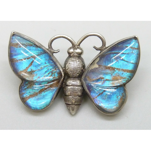Lot 7053      