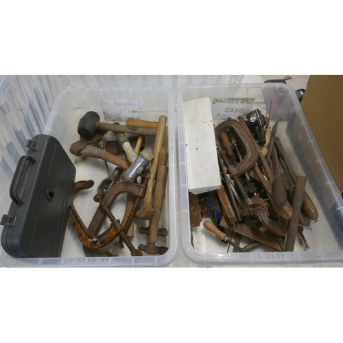 Lot 5025      