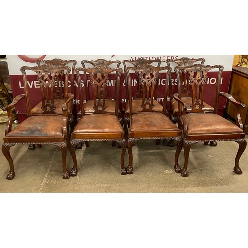 Lot 56        