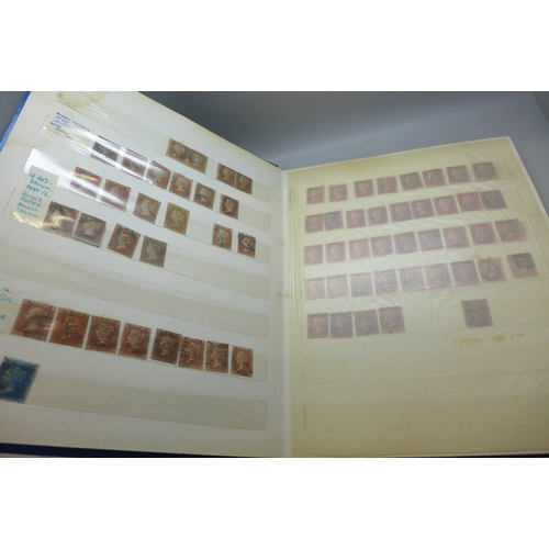 Lot 2065      