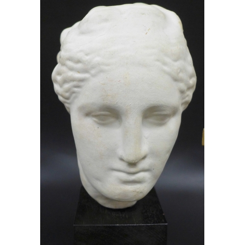 2023 - A pair of marble stands and a plaster bust on stand, marble stands height 13.5cm