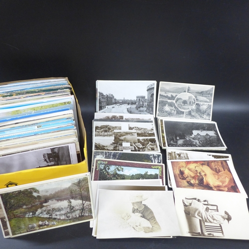 Lot 2288      